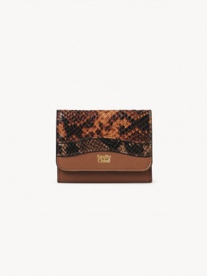 Carteras Pequeñas Chloe Layers Medium Tri-fold Marrom | CHE-SR14899