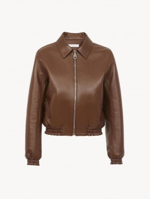 Chamarras Chloe Corta Blouson Cafes | CHE-SR13797