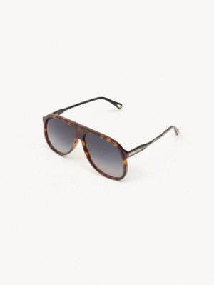 Lentes de Sol Chloe Dannie Negros | CHE-SR14569