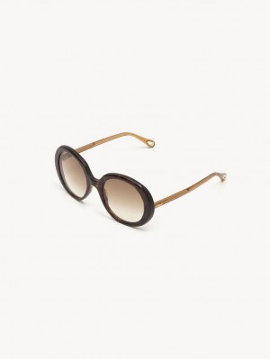 Lentes de Sol Chloe Esther Marrom | CHE-SR14529