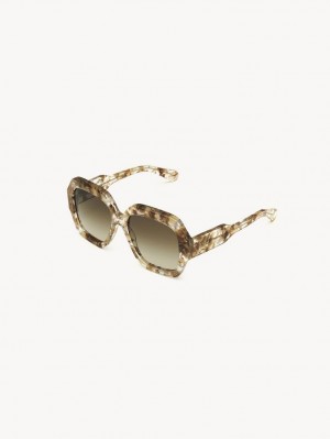 Lentes de Sol Chloe Gayia Marrom | CHE-SR14575
