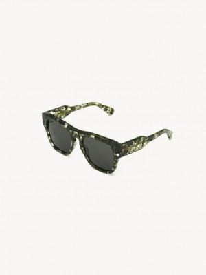 Lentes de Sol Chloe Gayia Verdes | CHE-SR14580