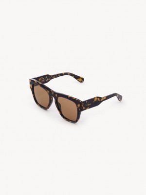 Lentes de Sol Chloe Gayia Vino | CHE-SR14576