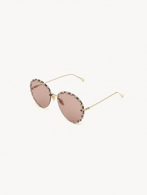 Lentes de Sol Chloe Idora Dorados Beige | CHE-SR14508