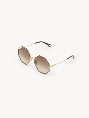 Lentes de Sol Chloe Poppy Petite Marrom | CHE-SR14545