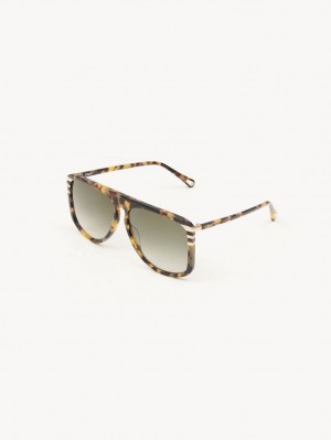 Lentes de Sol Chloe West Havana | CHE-SR14565