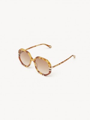 Lentes de Sol Chloe West Small Havana Patchwork | CHE-SR14518