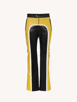 Pantalon Chloe Ciclismo Negros Amarillos | CHE-SR13975