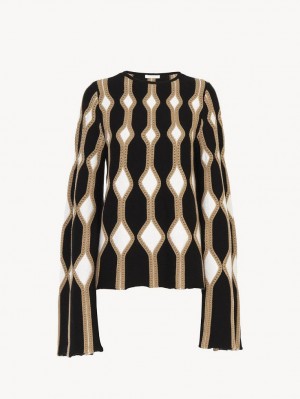 Prendas De Punto Chloe Trumpet-sleeve Marrom | CHE-SR13945