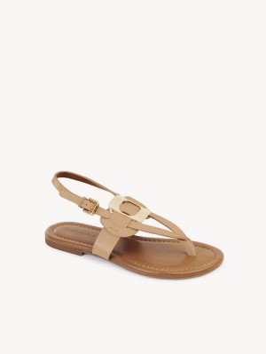 Sandalias Chloe Chany Marrom | CHE-SR14824