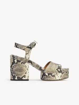 Sandalias Chloe Odina High-heel Grises | CHE-SR14172
