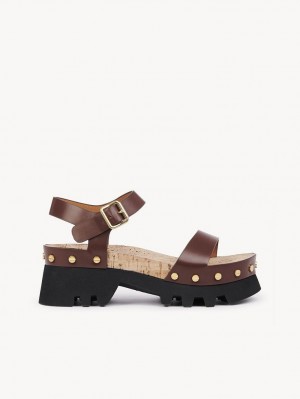 Sandalias Chloe Owena Plataforma Marrom | CHE-SR14161