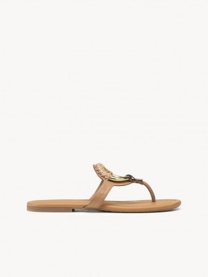 Tenis Planos Chloe Hana Flip-flop Marrom | CHE-SR14818