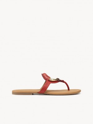 Tenis Planos Chloe Hana Flip-flop Rojos | CHE-SR14817