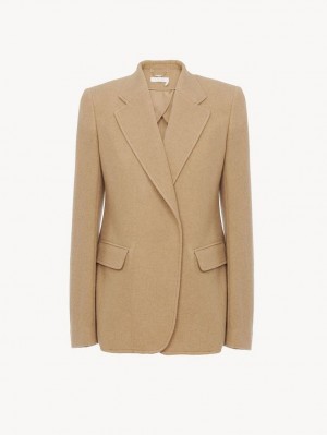 Traje Chloe Buttonless Tailored Marrom | CHE-SR14033