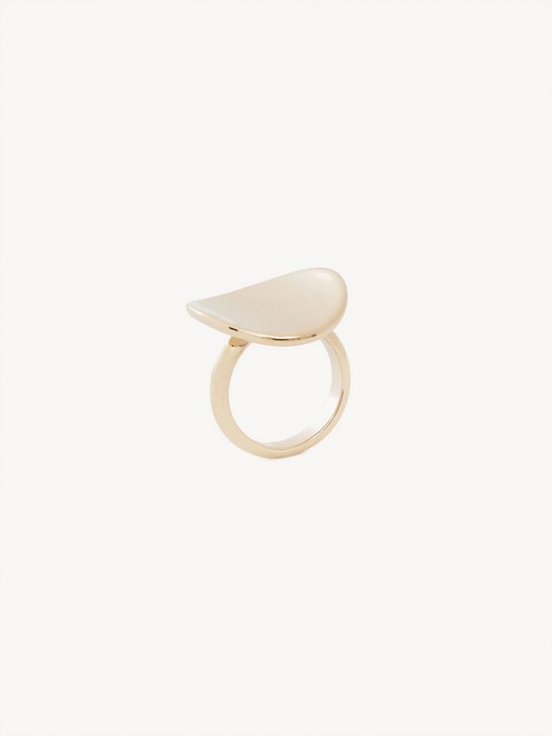 Anillos Chloe Penelope Dorados | CHE-SR14417