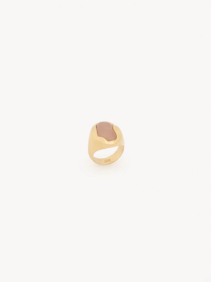 Anillos Chloe Sybil Dorados Claro | CHE-SR14449
