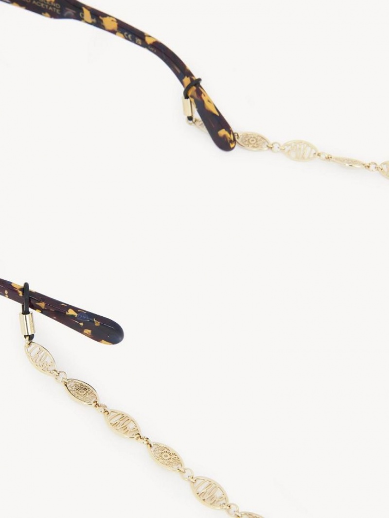 Aretes Chloe Darcey Encaje Eyew Chain Dorados | CHE-SR14433