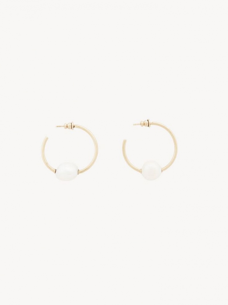 Aretes Chloe Darcey Hoop Dorados Blancos | CHE-SR14441