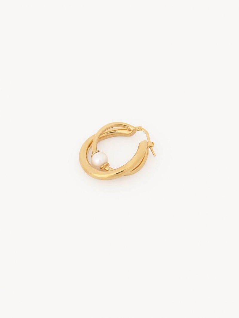 Aretes Chloe Darcey Hoop Dorados Claro | CHE-SR14456