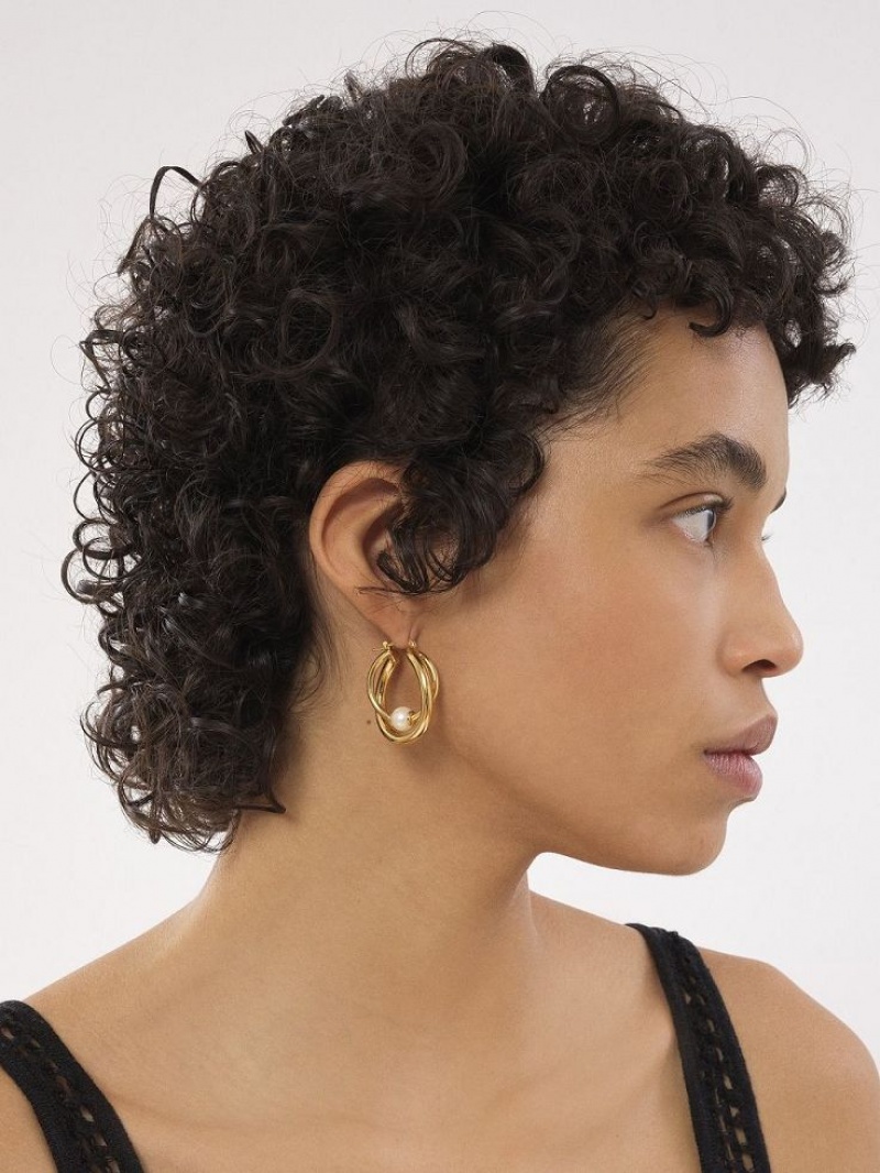 Aretes Chloe Darcey Hoop Dorados Claro | CHE-SR14456