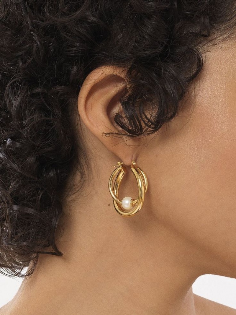 Aretes Chloe Darcey Hoop Dorados Claro | CHE-SR14456