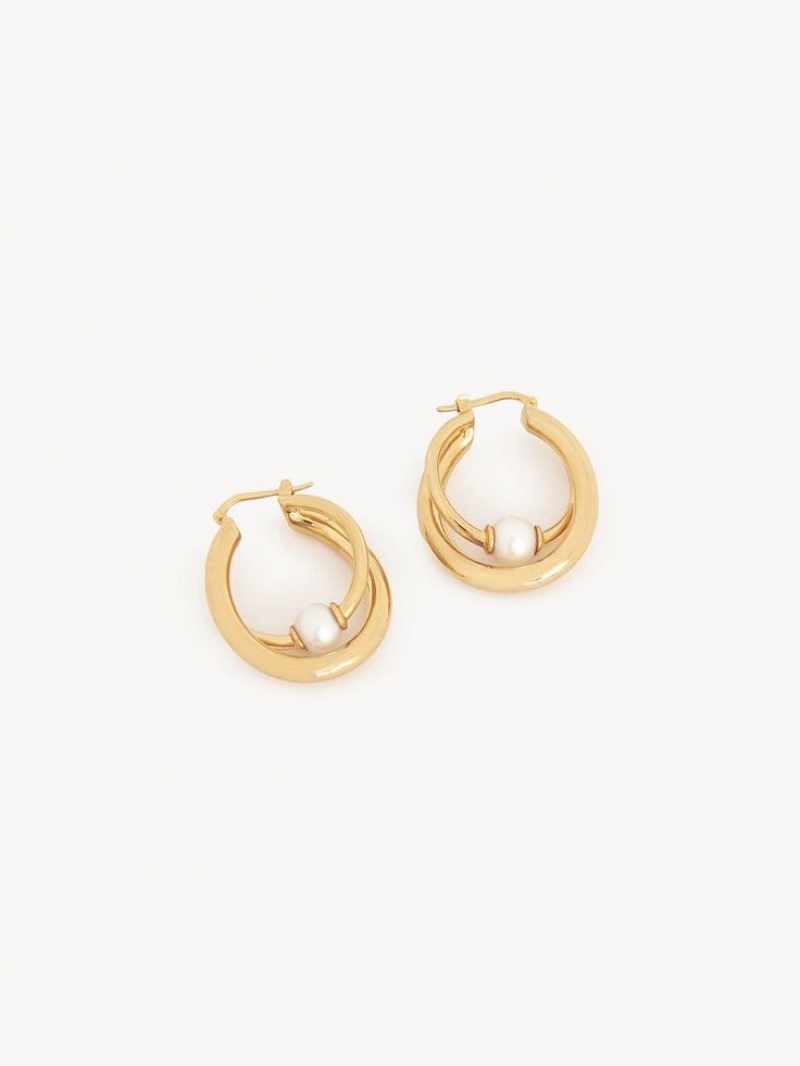 Aretes Chloe Darcey Hoop Dorados Claro | CHE-SR14456