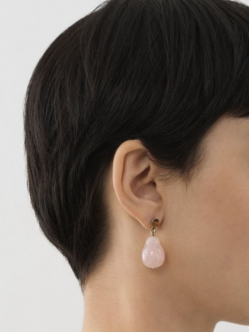 Aretes Chloe Darcey Rosas Marrom | CHE-SR14414