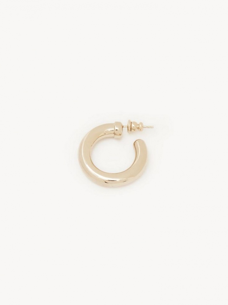 Aretes Chloe Maura Hoops Dorados | CHE-SR14359