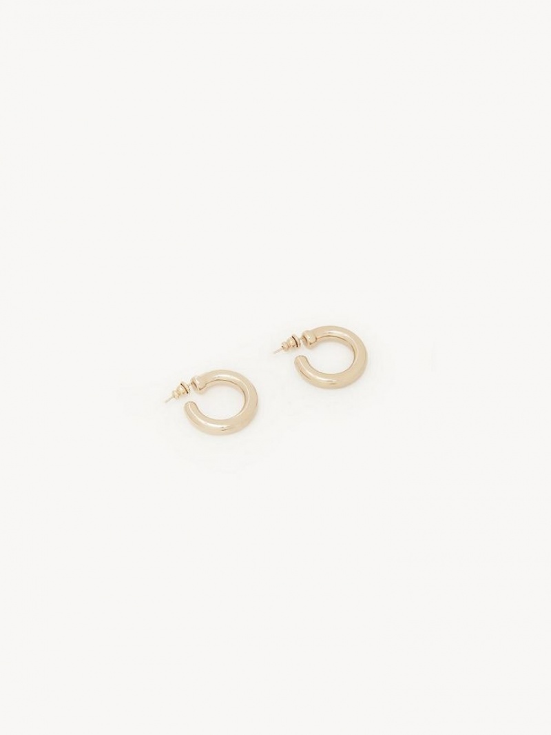 Aretes Chloe Maura Hoops Dorados | CHE-SR14359
