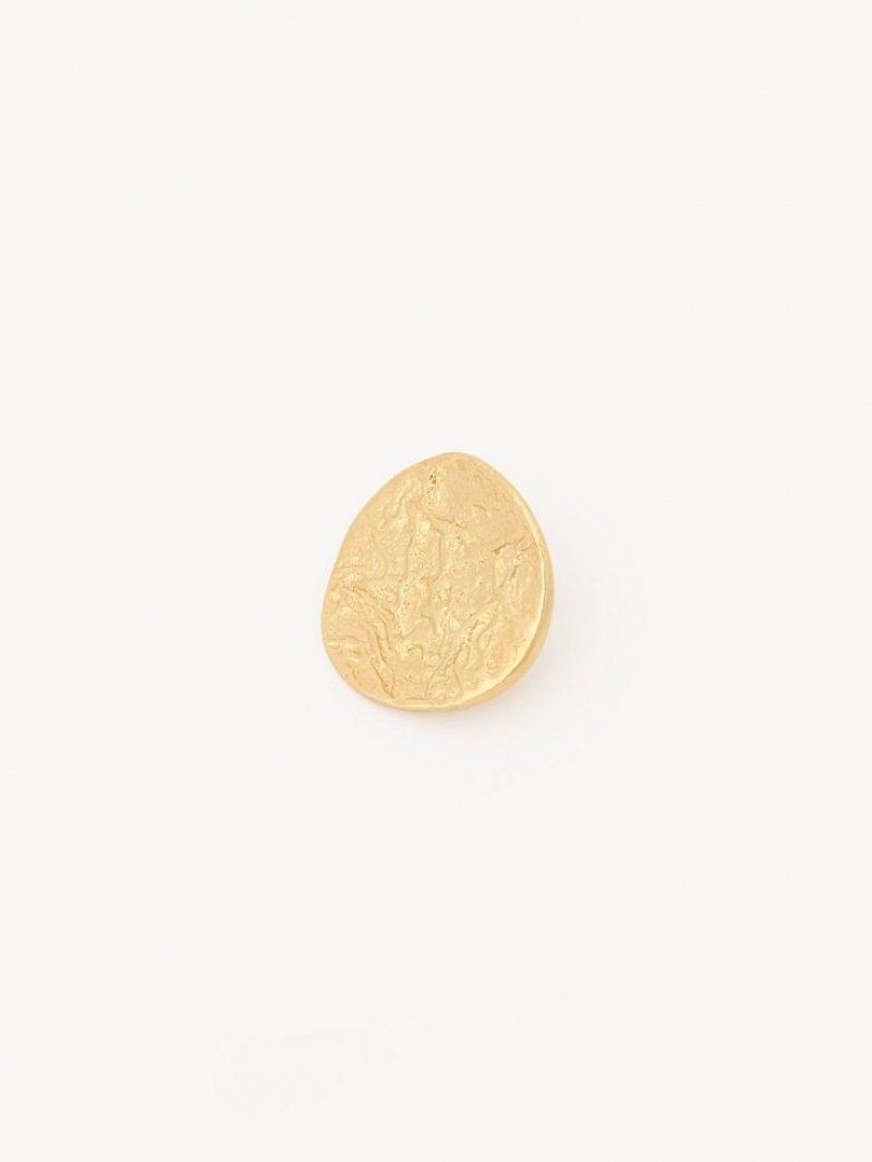 Aretes Chloe Penelope Coin Dorados Claro | CHE-SR14455
