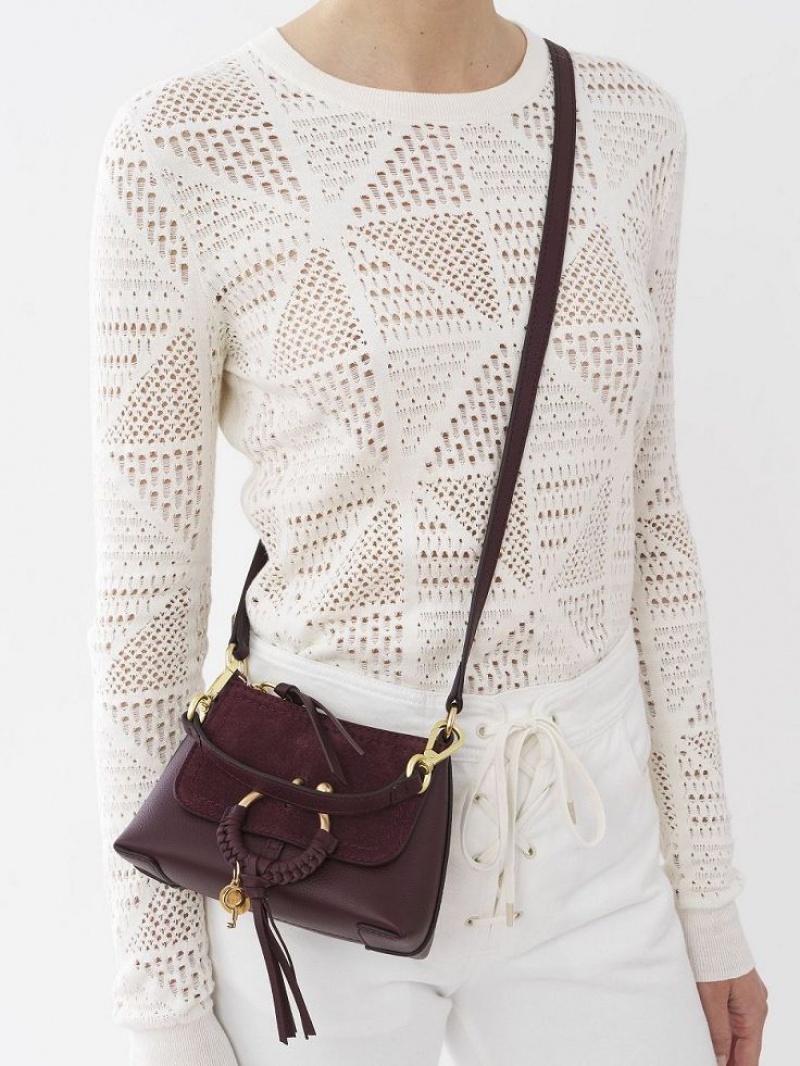 Bolsa De Hombro Chloe Joan Mini Vino | CHE-SR14634
