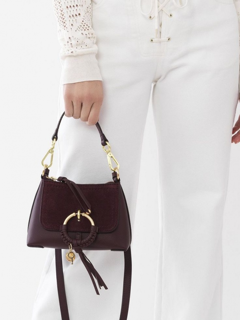 Bolsa De Hombro Chloe Joan Mini Vino | CHE-SR14634