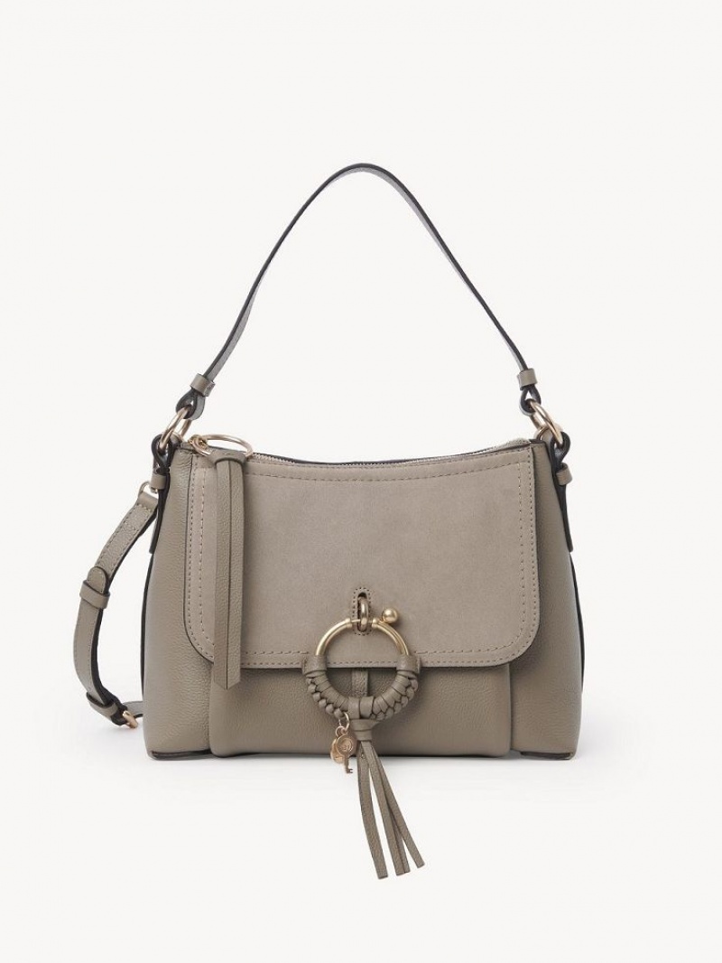Bolsa De Hombro Chloe Joan Small Grises | CHE-SR14678