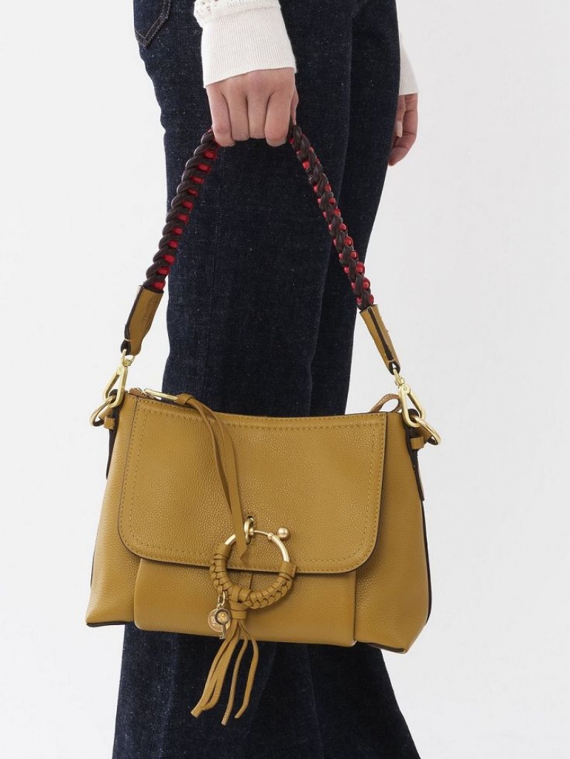 Bolsa De Hombro Chloe Joan Small Marrom | CHE-SR14648