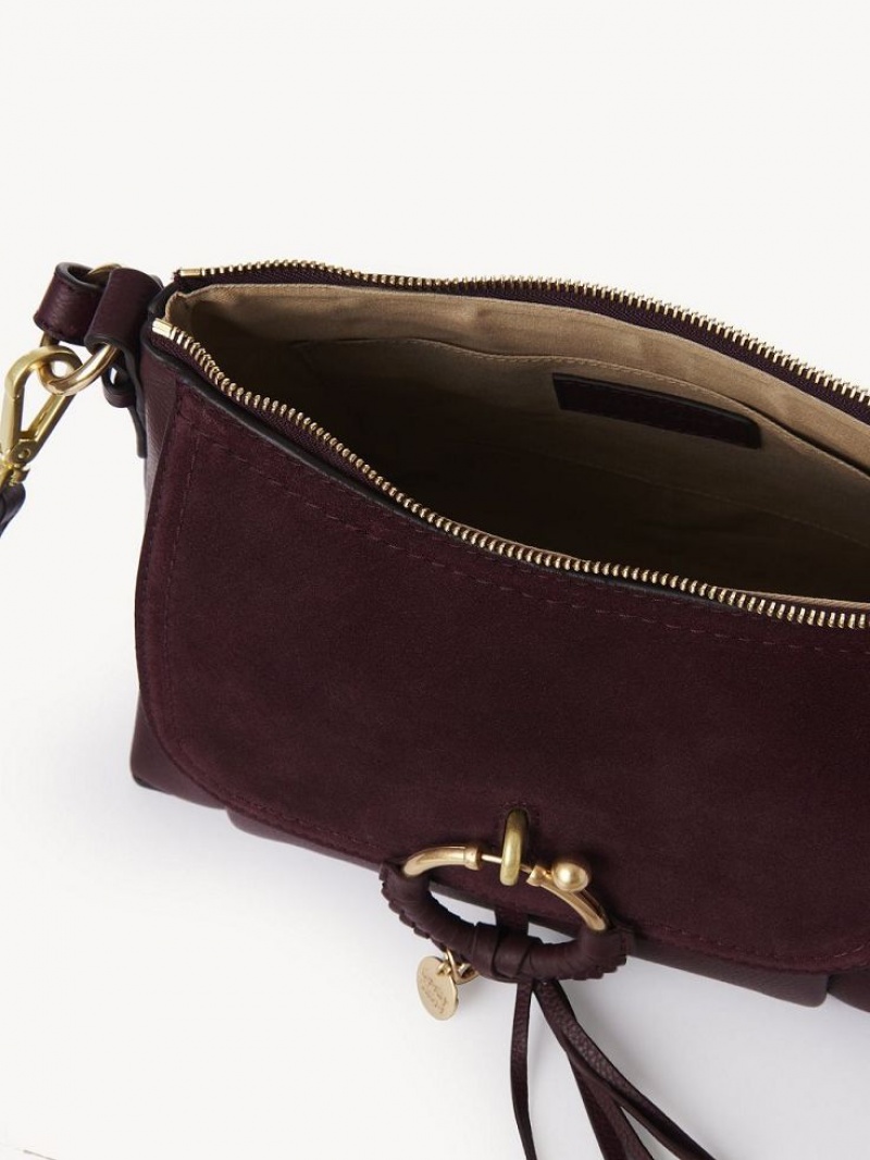 Bolsa De Hombro Chloe Joan Small Vino | CHE-SR14650