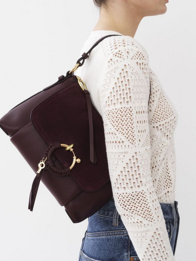 Bolsa De Hombro Chloe Joan Small Vino | CHE-SR14650