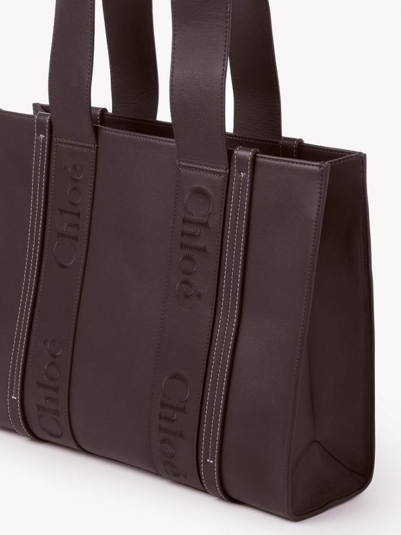 Bolsa De Hombro Chloe Medium Woody Azules | CHE-SR13431