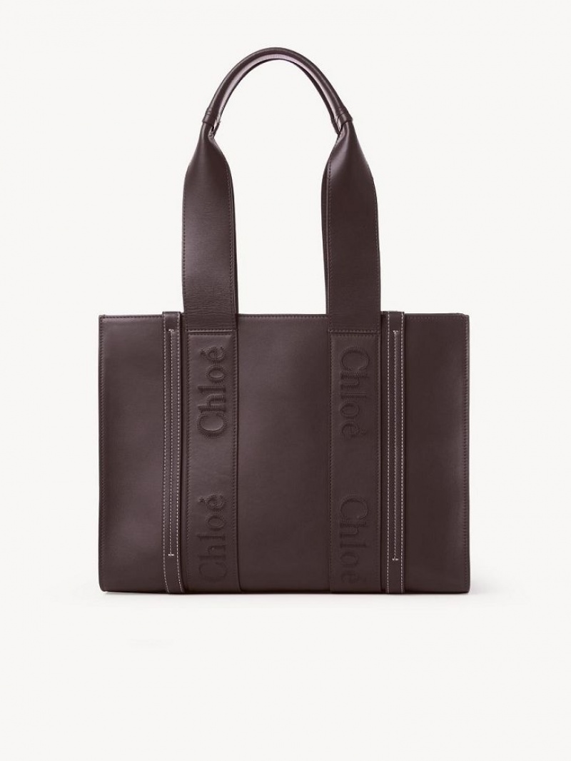 Bolsa De Hombro Chloe Medium Woody Azules | CHE-SR13431