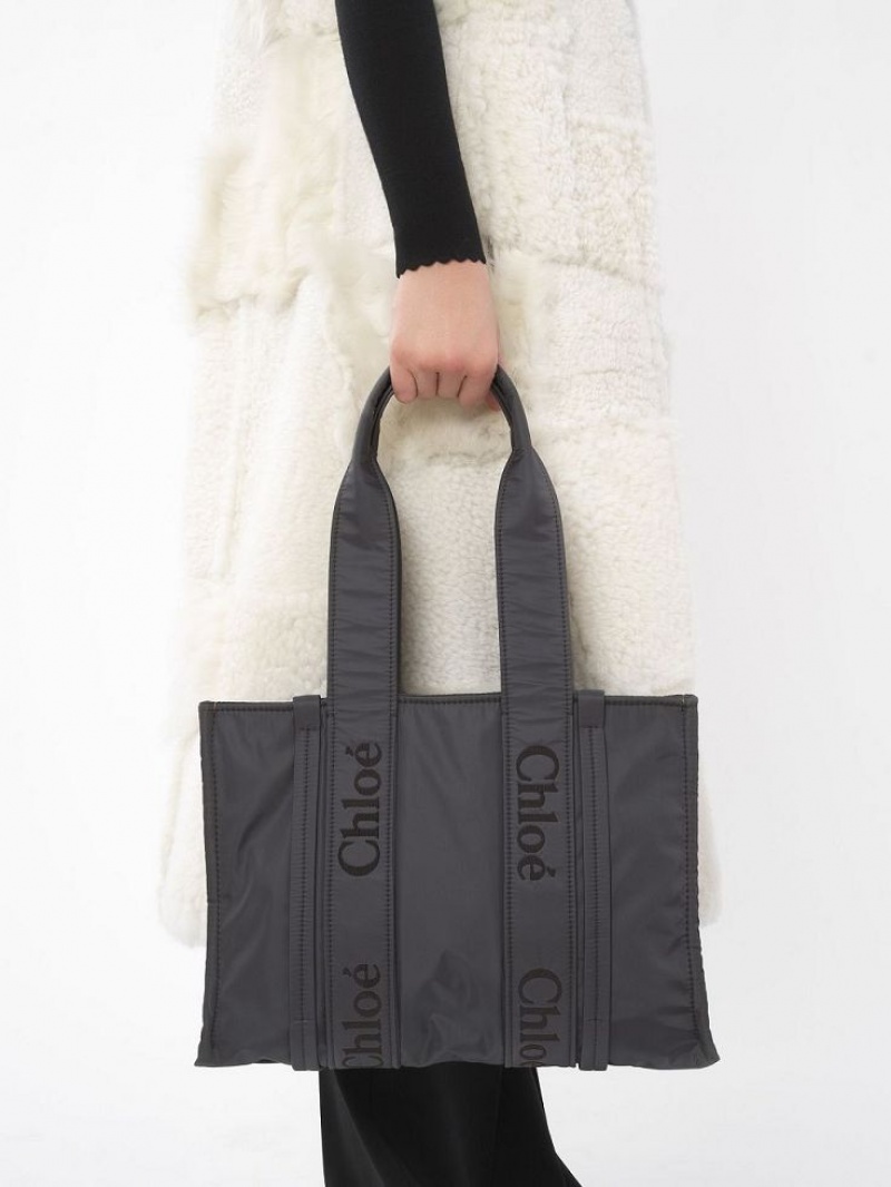 Bolsa De Hombro Chloe Medium Woody Grises | CHE-SR13427