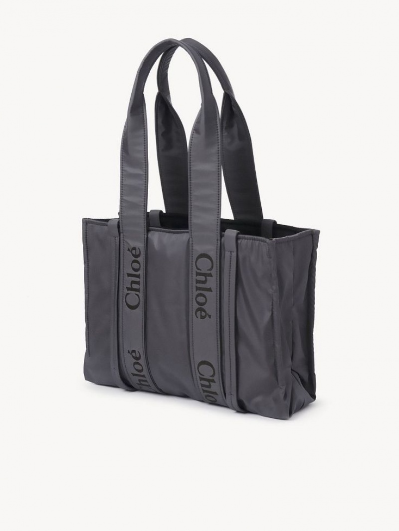 Bolsa De Hombro Chloe Medium Woody Grises | CHE-SR13427