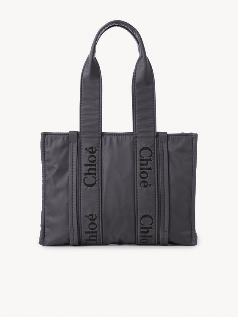 Bolsa De Hombro Chloe Medium Woody Grises | CHE-SR13427