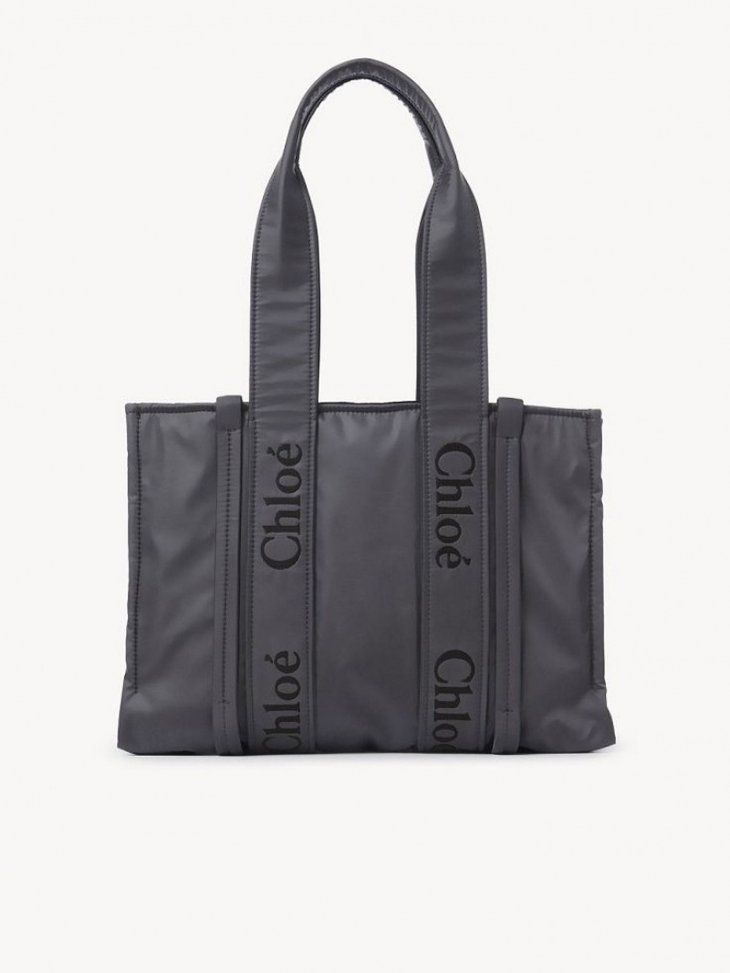 Bolsa De Hombro Chloe Medium Woody Grises | CHE-SR13427