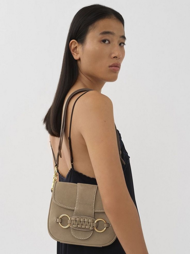 Bolsa De Hombro Chloe Saddie Satchel Grises | CHE-SR14666