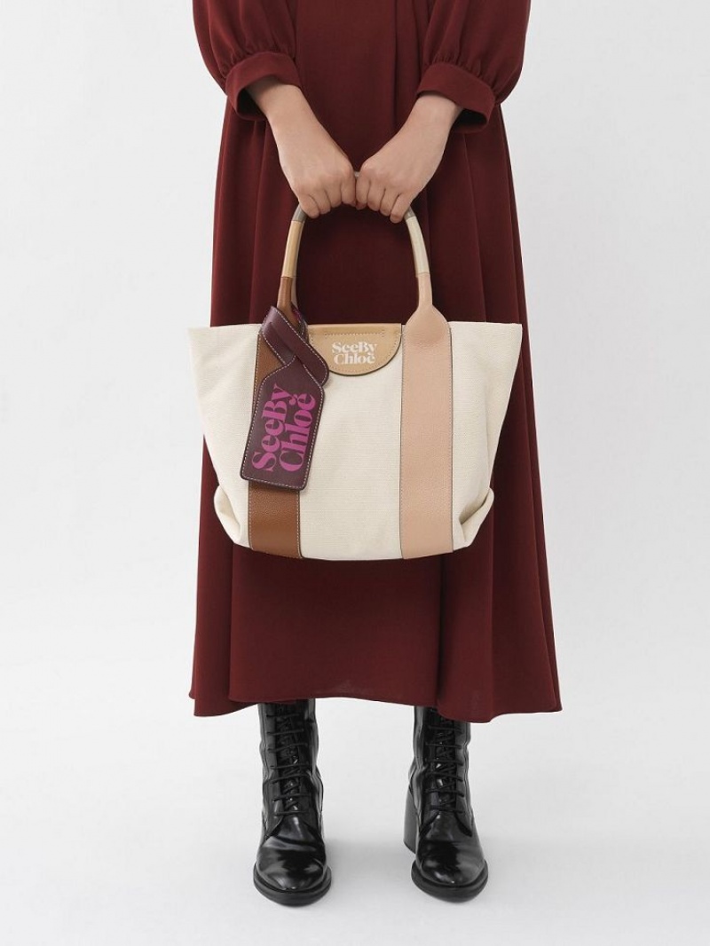Bolso Tote Chloe Laetizia Small Marrom | CHE-SR14710