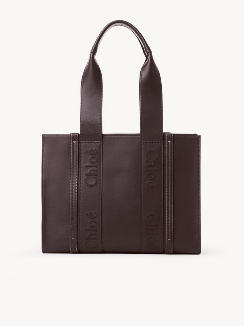 Bolso Tote Chloe Medium Woody Azules | CHE-SR13394