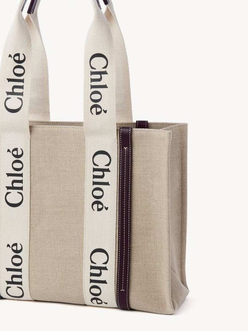 Bolso Tote Chloe Medium Woody Azules | CHE-SR13362