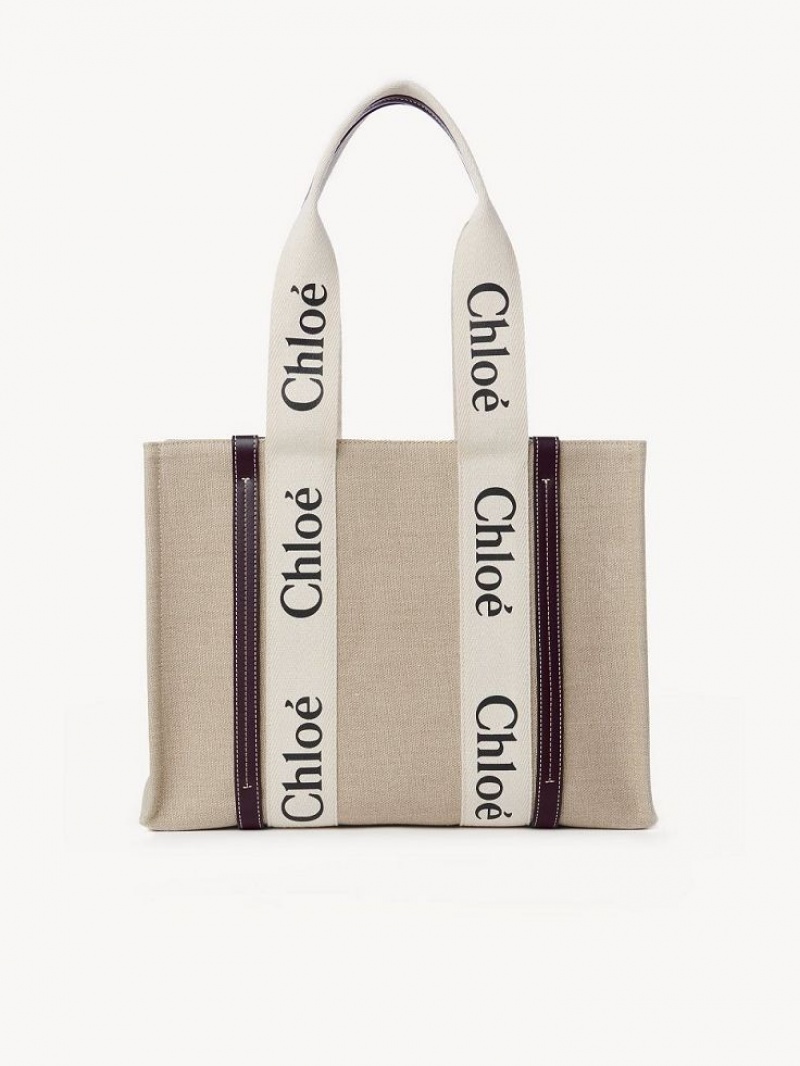 Bolso Tote Chloe Medium Woody Azules | CHE-SR13362