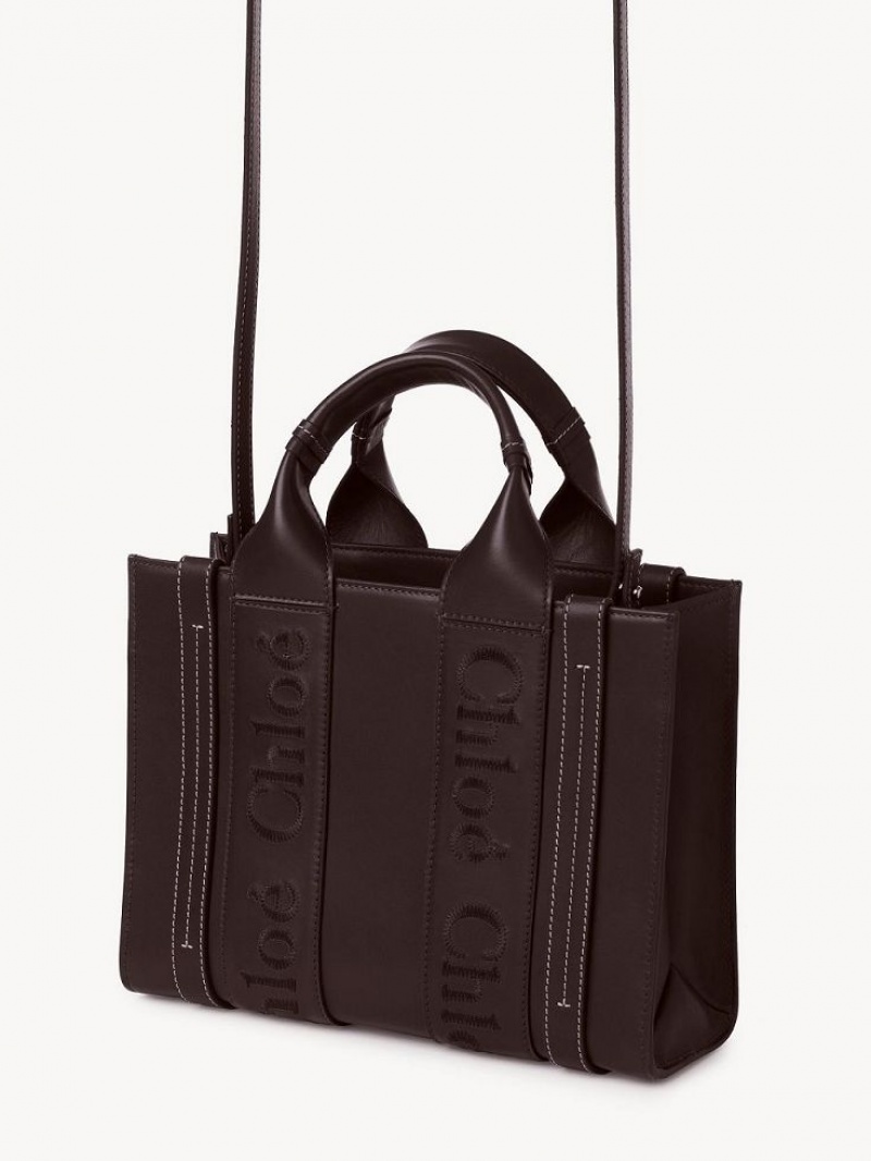 Bolso Tote Chloe Small Woody Azules | CHE-SR13375