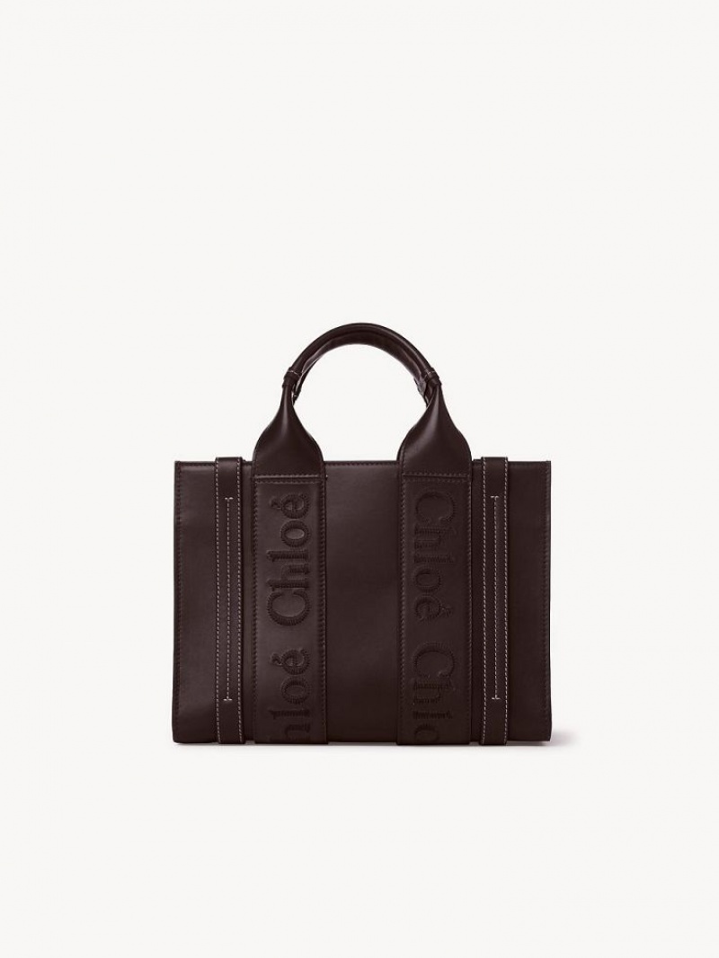 Bolso Tote Chloe Small Woody Azules | CHE-SR13375